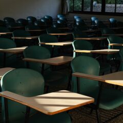 pexels-oliver-hung-265548590-30281236